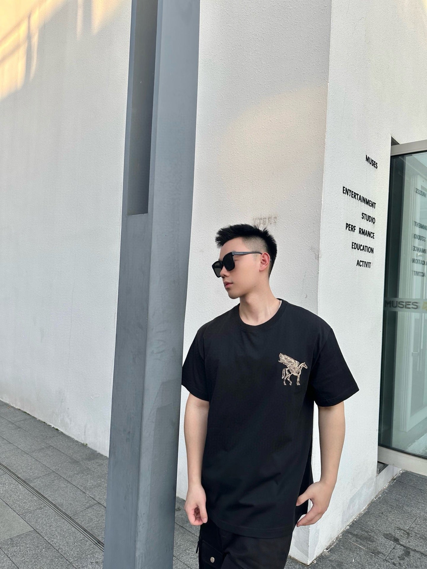 25 Pegasus Embroidered Round Neck Short Sleeve