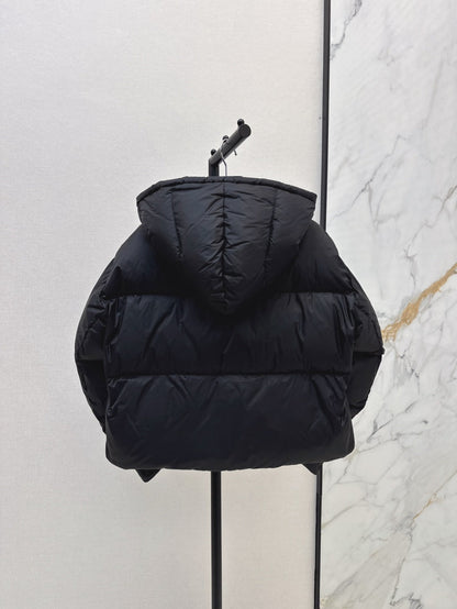 25fw down jacket