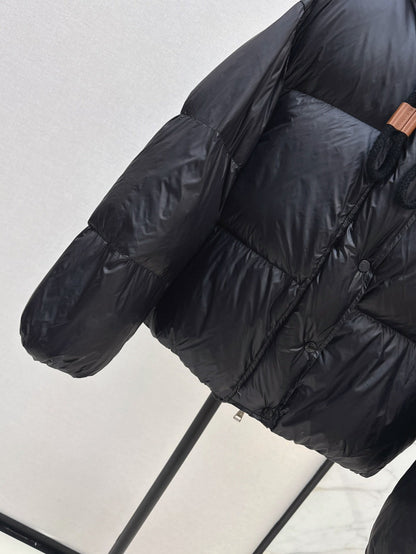 25fw down jacket