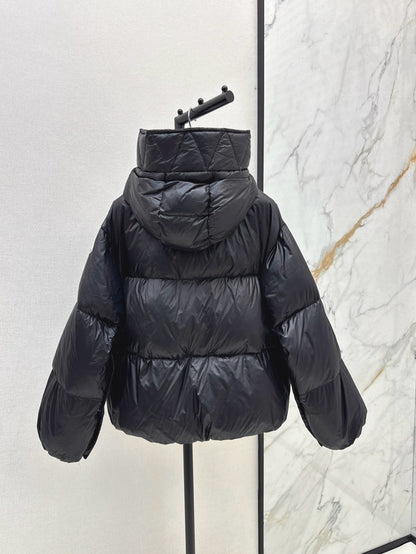25fw down jacket