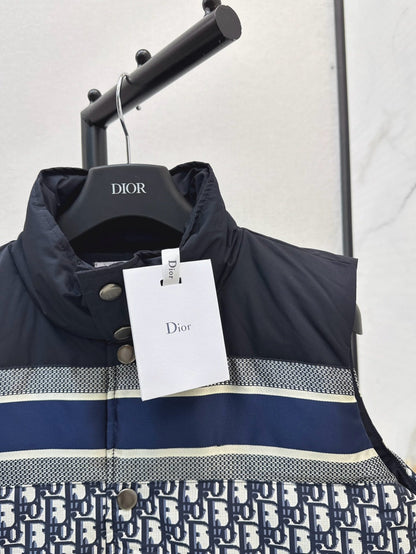 25fw down vest